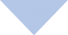 IMG1